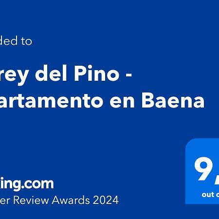 Virrey Del Pino - Apartamento En บาเอนา ภายนอก รูปภาพ
